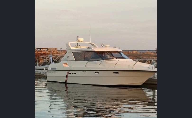 Marino Barracuda-kuva-14